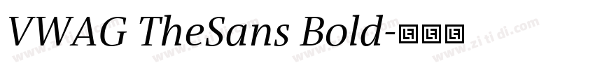 VWAG TheSans Bold字体转换